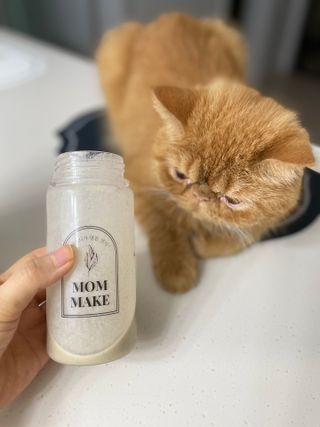 딸기우유님이 올린 리뷰 사진 1