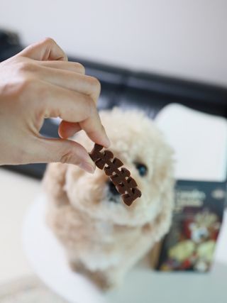 ann님이 올린 리뷰 사진 3