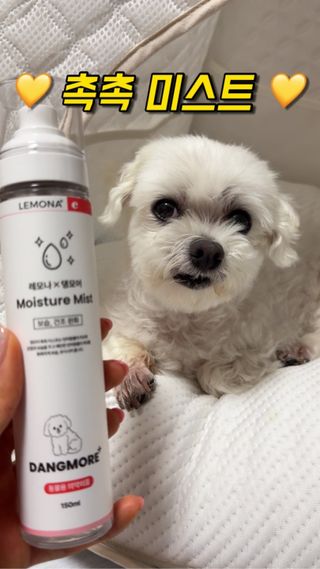 망아진가봄님이 올린 리뷰 사진 1