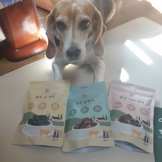 beaglelove님이 올린 리뷰 사진 1