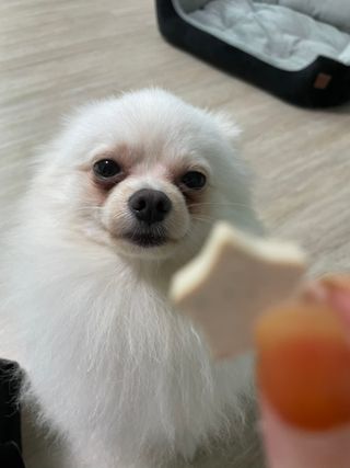 jisun3392님이 올린 리뷰 사진 3