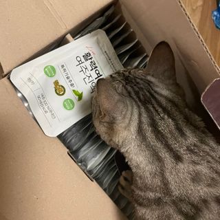 참유원 특허제조 활력 여주진액 여주즙 50포 — 리뷰어가 2022년 3월 올린 사용 사진