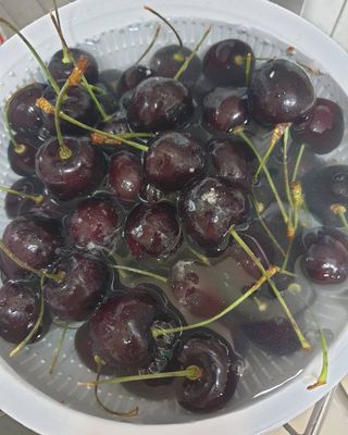 뽀야님이 올린 리뷰 사진 2