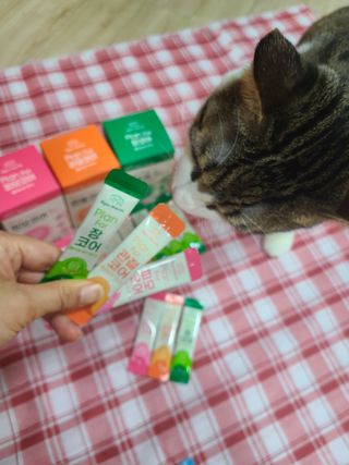 냥냥뽀짝님이 올린 리뷰 사진 2