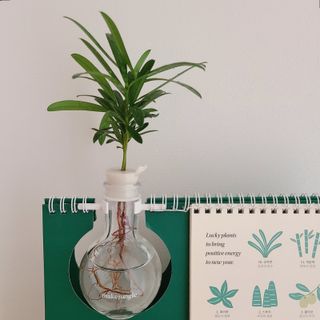 설설님이 올린 리뷰 사진 1