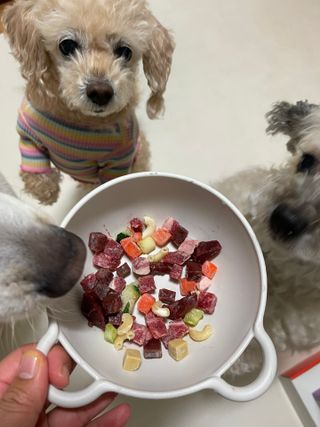 양쏭님이 올린 리뷰 사진 2