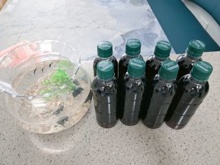 무라벨 바리스타룰스 디카페인 아메리카노 — 5점을 준 리뷰어가 2024년 4월 올린 사용 사진