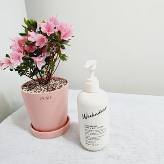 [위켄더스] 끈적임 없이 수분감을 채워주는 핸드& 바디로션 1종 랜덤발송 — 5점을 준 리뷰어가 2022년 4월 올린 사용 사진