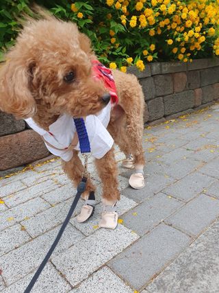 민쓰님이 올린 리뷰 사진 2