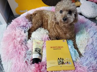 라움이님이 올린 리뷰 사진 1