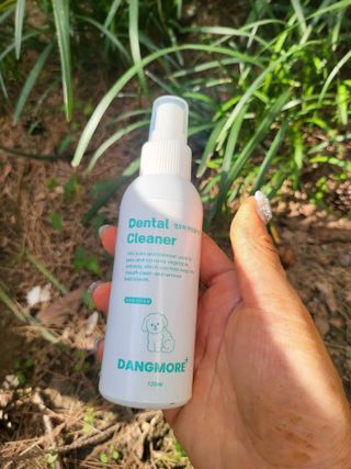 [댕모어 클리너 3종] 아이클리너 / 이어클리너 / 덴탈클리너 3종 세트 (120ml) — 5점을 준 리뷰어가 2023년 10월 올린 사용 사진