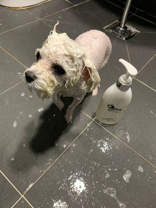 큐티윤님이 올린 리뷰 사진 3