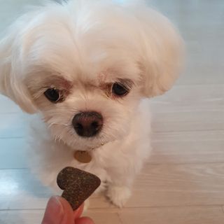 hosu.1230님이 올린 리뷰 사진 4