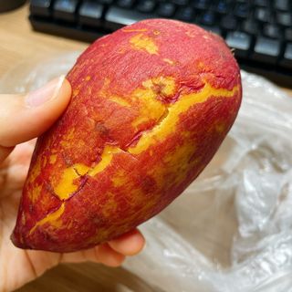 용용이님이 올린 리뷰 사진 4