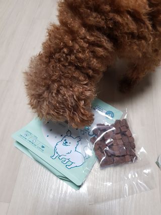 My Pet Care 천연단백질 눈건강에 개좋아 — 5점을 준 리뷰어가 2020년 12월 올린 사용 사진