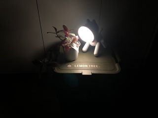 도도님이 올린 리뷰 사진 2