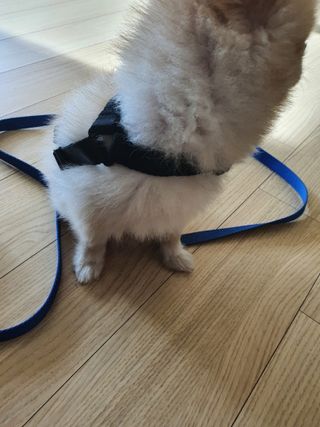 보미누나님이 올린 리뷰 사진 2