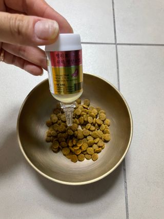 무지조타 반려동물용 꽃으로만든영양제 헬리코디펜스 15ml — 4점을 준 리뷰어가 2021년 8월 올린 사용 사진