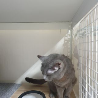 옹알이님이 올린 리뷰 사진 2