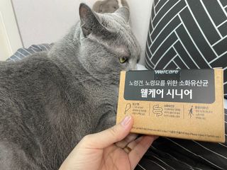냐옹아냐옹해봐님이 올린 리뷰 사진 4