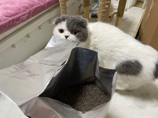 핑크천사님이 올린 리뷰 사진 4
