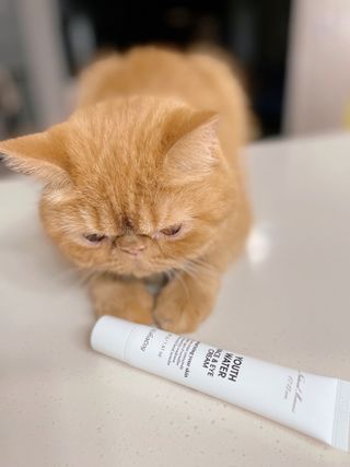 딸기우유님이 올린 리뷰 사진 1