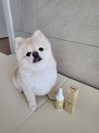 bangwoori님이 올린 리뷰 사진 1