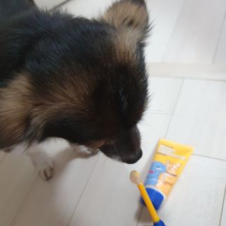 꽃수니어니님이 올린 리뷰 사진 2