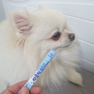 정예뿜님이 올린 리뷰 사진 3