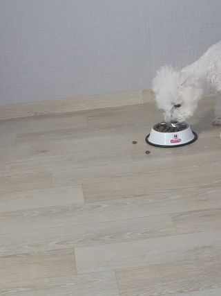 채원님이 올린 리뷰 사진 2