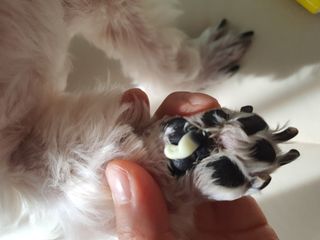 민우다빈이맘님이 올린 리뷰 사진 3
