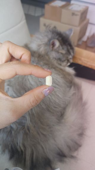 프리마인 평생 써야하는 관절의 건강을 위한 완벽설계 솔루션 관절n마디케어 플러스 120정 — 5점을 준 리뷰어가 2021년 10월 올린 사용 사진