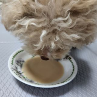 Eileen님이 올린 리뷰 사진 3