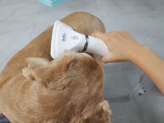 찬이애비님이 올린 리뷰 사진 2