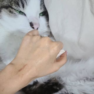 루잉루잉님이 올린 리뷰 사진 4