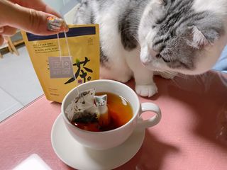 cobemom님이 올린 리뷰 사진 3