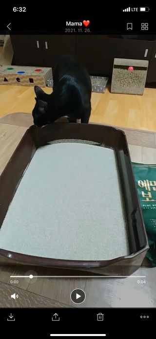 낭낭이님이 올린 리뷰 사진 1