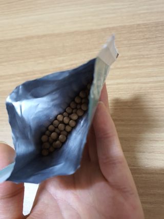 쏜양이님이 올린 리뷰 사진 4