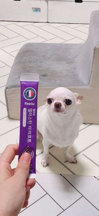예지김님이 올린 리뷰 사진 3