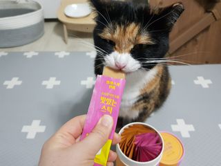 페페로니 맛있는 스틱 - 무항생제 닭고기 15개 + 알래스카 연어 15개 — 5점을 준 리뷰어가 2021년 8월 올린 사용 사진