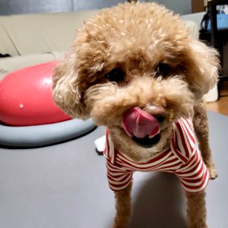 펭뽀꾸님이 올린 리뷰 사진 2