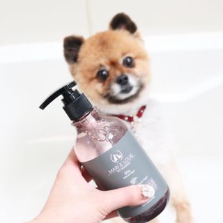 마리앤루이펫샴푸 [mari and louie pet shampoo] — 5점을 준 리뷰어가 2021년 6월 올린 사용 사진