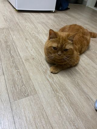 조원화님이 올린 리뷰 사진 4