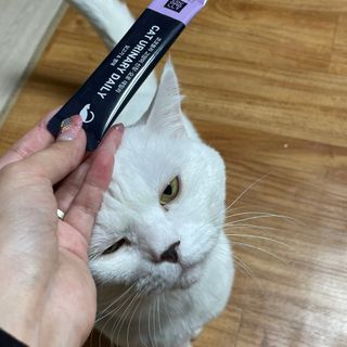 뉸뉸냔냐님이 올린 리뷰 사진 3