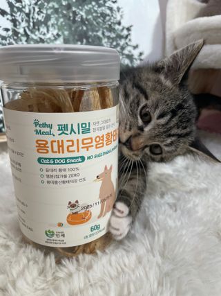 냐옹아냐옹해봐님이 올린 리뷰 사진 3