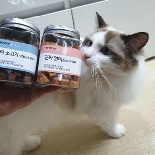 페페로니 진짜 오메가3 연어+소고기 180g+180g — 5점을 준 리뷰어가 2021년 7월 올린 사용 사진
