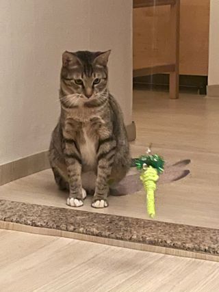 SanghyukCha님이 올린 리뷰 사진 1