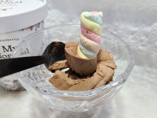 마이노멀 키토스노우 2개 Set  - 바닐라/초코/그린티 3종 중 선택 — 5점을 준 리뷰어가 2021년 4월 올린 사용 사진
