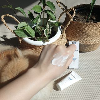 🌷 킴블리 🌷님이 올린 리뷰 사진 2