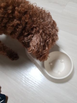 준맘님이 올린 리뷰 사진 2